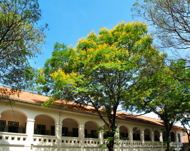 20173_259744204042_4121567_n