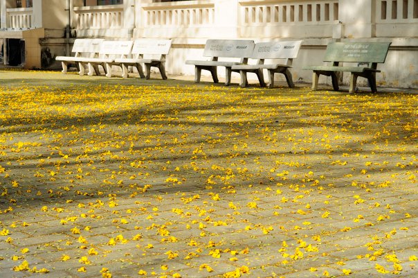 20173_259744244042_1360637_n